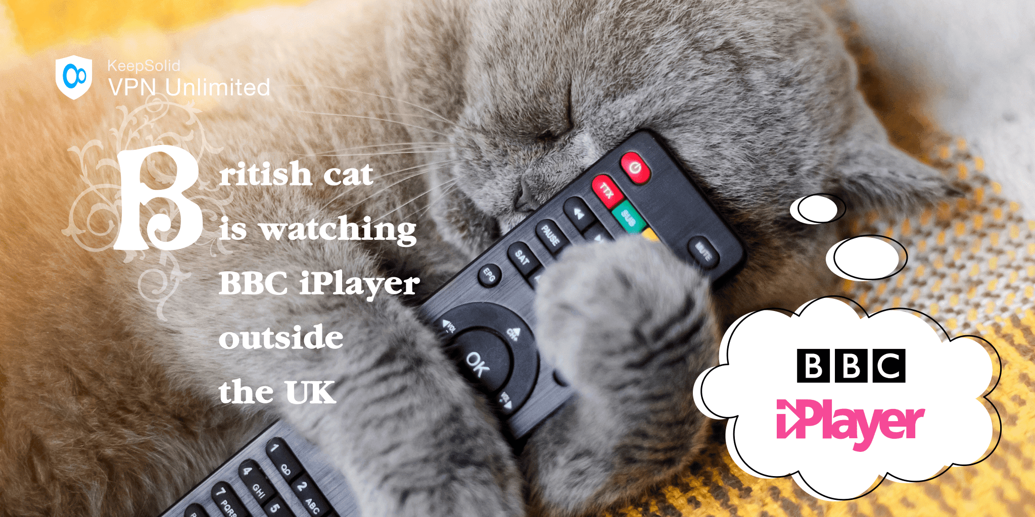 British cat sleeping with a TV remote after watch BBC iPlayer with VPN Unlimited