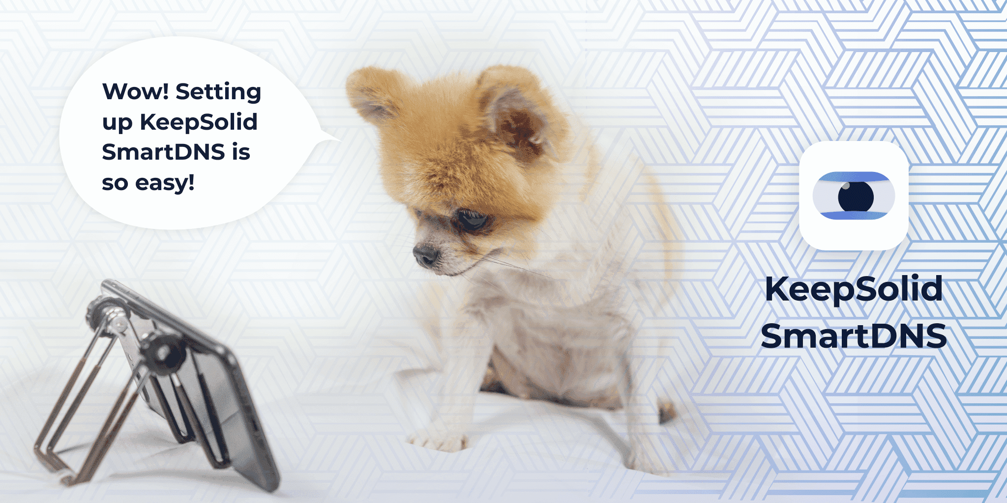Pomeranian dog watching Netflix on smartphone on the bed with KeepSolid SmartDNS app